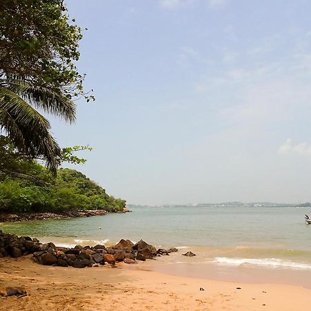 Pineview Otel Unawatuna Dış mekan fotoğraf